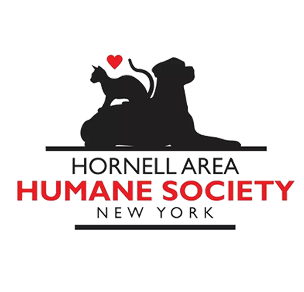 Hornell Area Humane Society New York logo, black silhouette of a dog laying down with a cat sitting on it's back a red heart above the cat on a clear background. Letters Hornell Area and New York are in black with Humane Society in red.